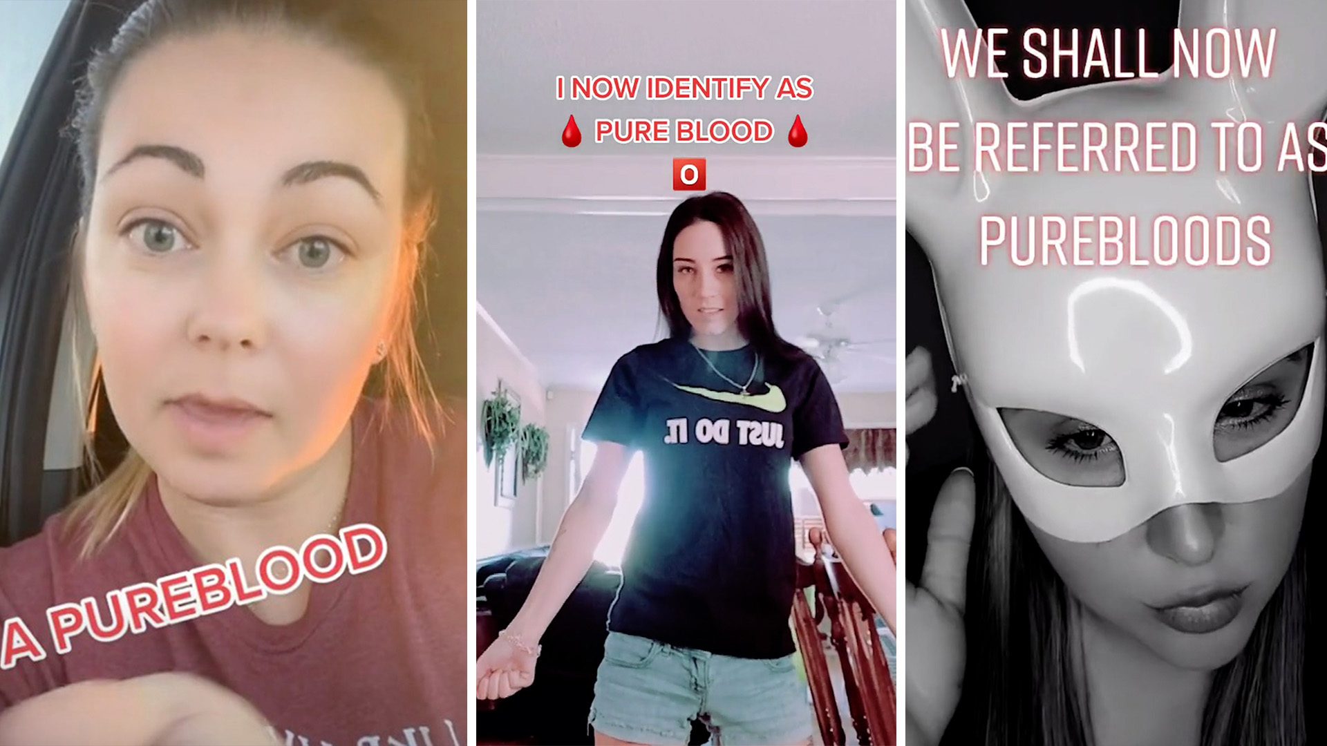 The Lowdown: Attack of the Purebloods? Inside TikTok’s Newest Conspiracy Trend